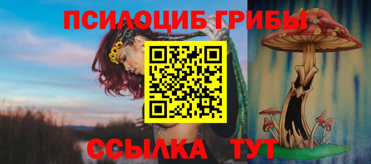 Псилоцибиновые грибы ЛСД  как найти наркотики  Гусиноозёрск  Вход с VPN 