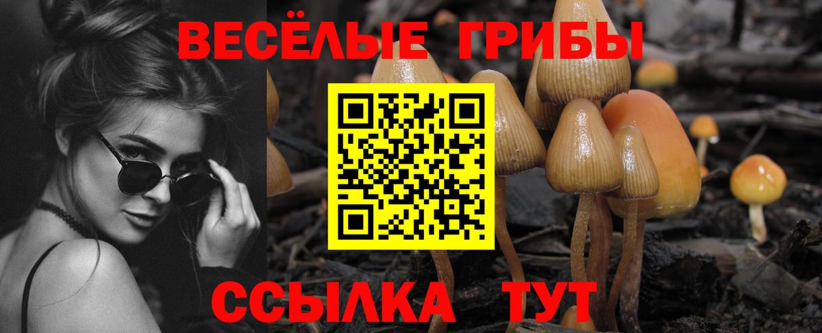 Псилоцибиновые грибы Magic Shrooms Гусиноозёрск